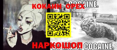 2c-b Кингисепп