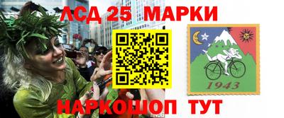 2c-b Кингисепп